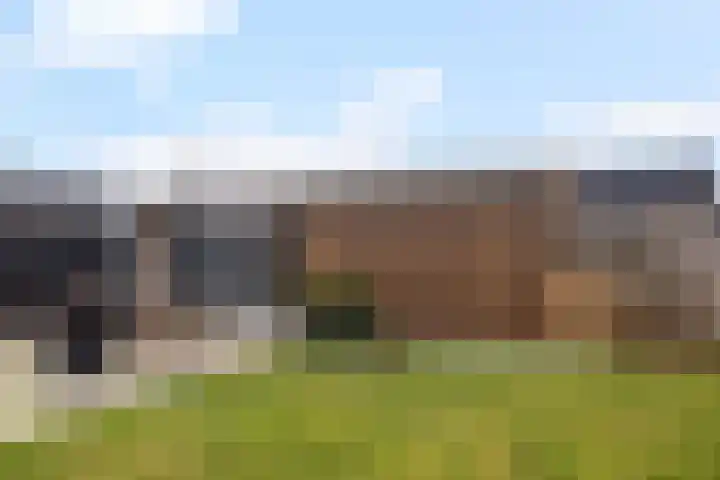 Pijpestro 13 Erica thumbnail 34
