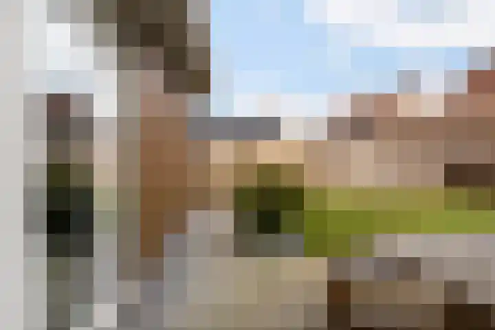 Pijpestro 13 Erica thumbnail 40