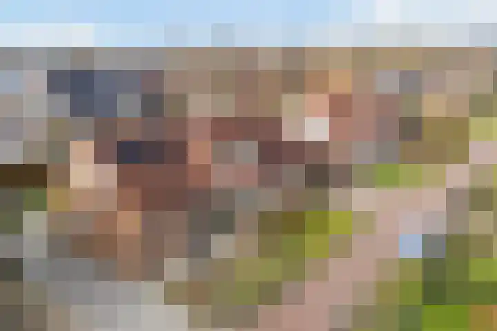 Pijpestro 13 Erica thumbnail 43