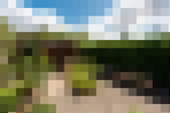 Pijpestrootje 35 Eemnes thumbnail 21