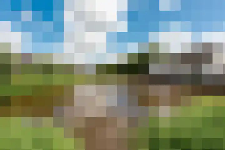 Pijpestrootje 35 Eemnes thumbnail 28