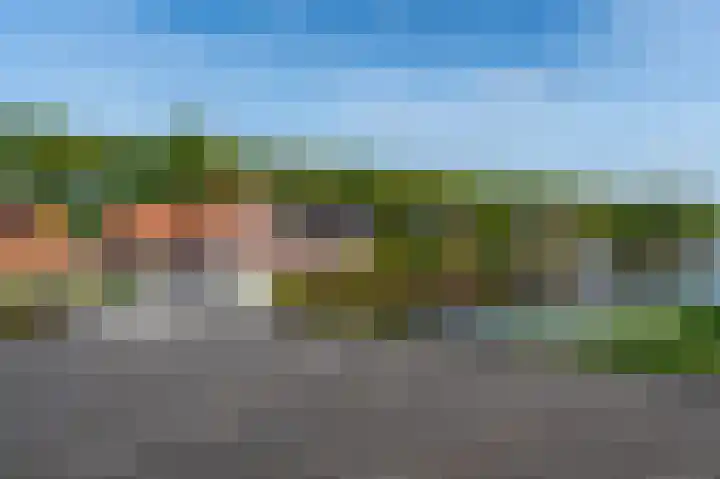 Pijpstraat 1 C Zuidbroek thumbnail 22