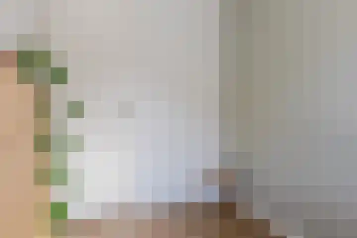 Piketberg 4 Tilburg thumbnail 15