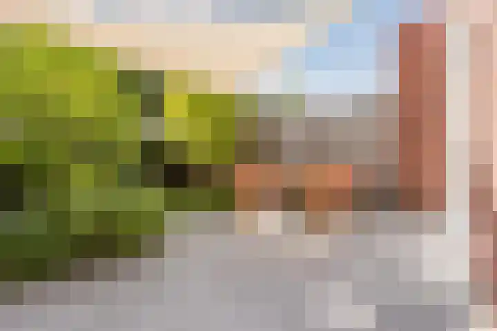 Piketberg 4 Tilburg thumbnail 25