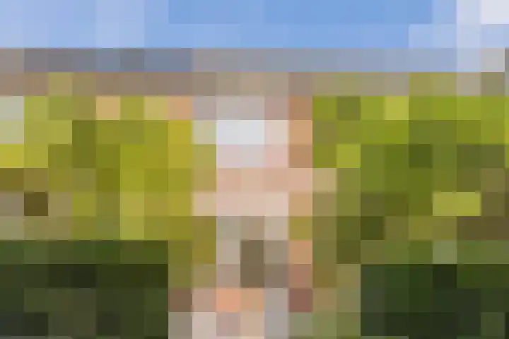 Piketberg 4 Tilburg thumbnail 27