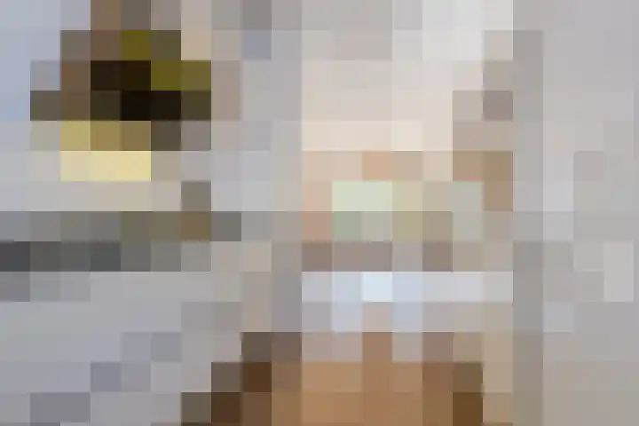 Piketberg 4 Tilburg thumbnail 7