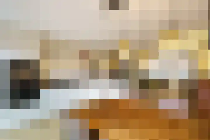 Pikeur 13 Nootdorp thumbnail 11
