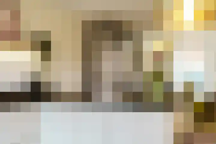 Pikeur 13 Nootdorp thumbnail 12