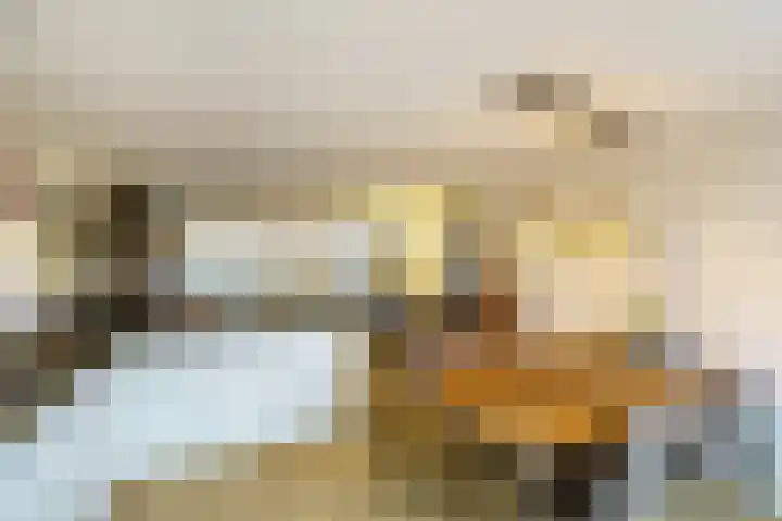 Pikeur 13 Nootdorp thumbnail 13