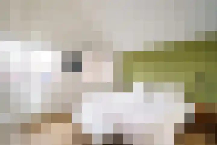 Pikeur 13 Nootdorp thumbnail 16