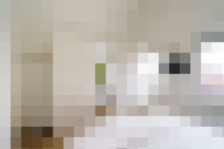 Pikeur 13 Nootdorp thumbnail 17