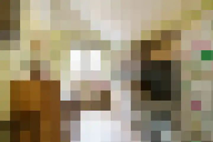 Pikeur 13 Nootdorp thumbnail 21