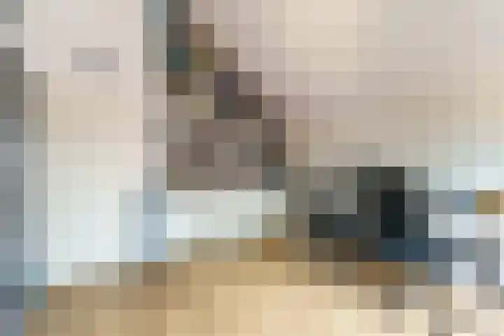 Pikeur 13 Nootdorp thumbnail 24