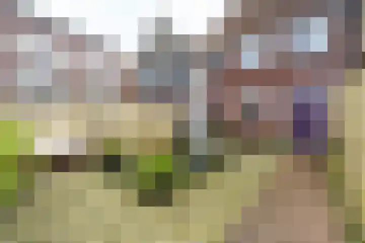 Pikeur 13 Nootdorp thumbnail 25