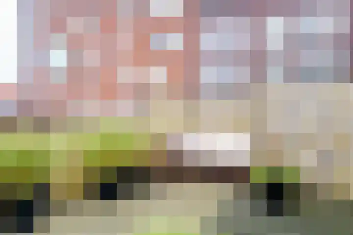 Pikeur 13 Nootdorp thumbnail 26