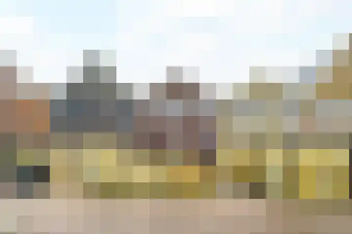 Pikeur 13 Nootdorp thumbnail 28