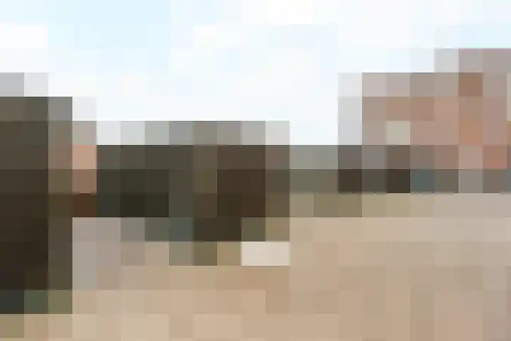 Pikeur 13 Nootdorp thumbnail 29