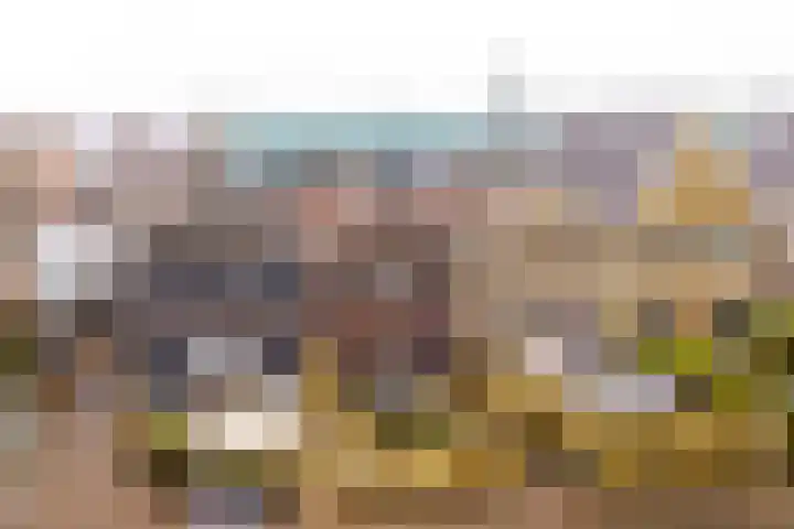 Pikeur 13 Nootdorp thumbnail 30