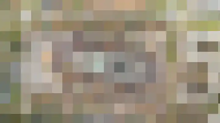 Pikeur 13 Nootdorp thumbnail 32
