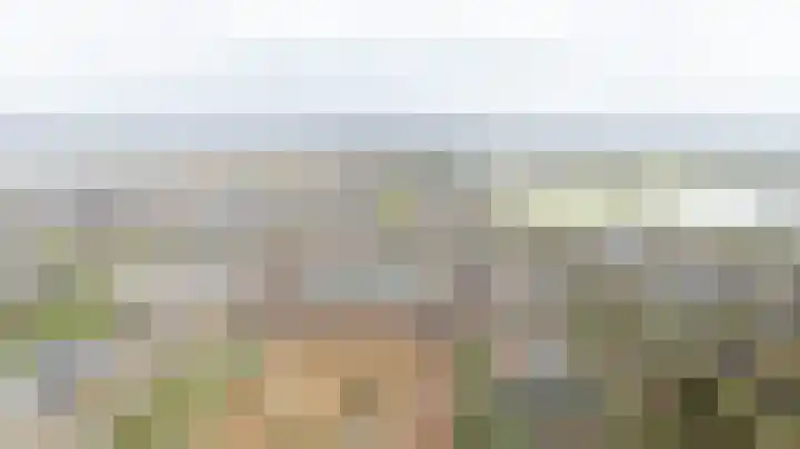 Pikeur 13 Nootdorp thumbnail 34