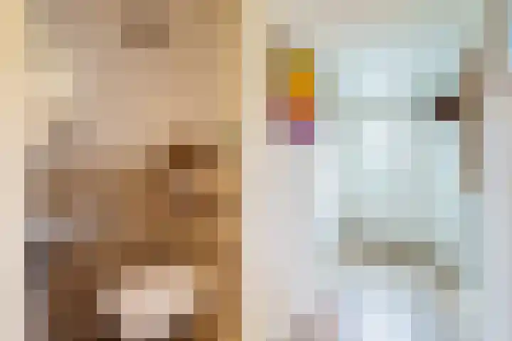 Pikeur 13 Nootdorp thumbnail 5