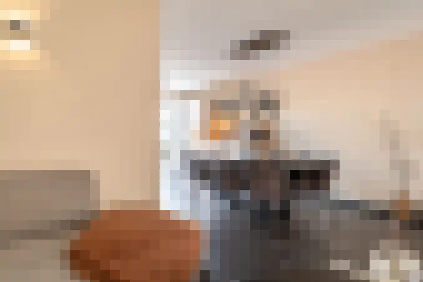 Pikeur 3 Nootdorp thumbnail 10