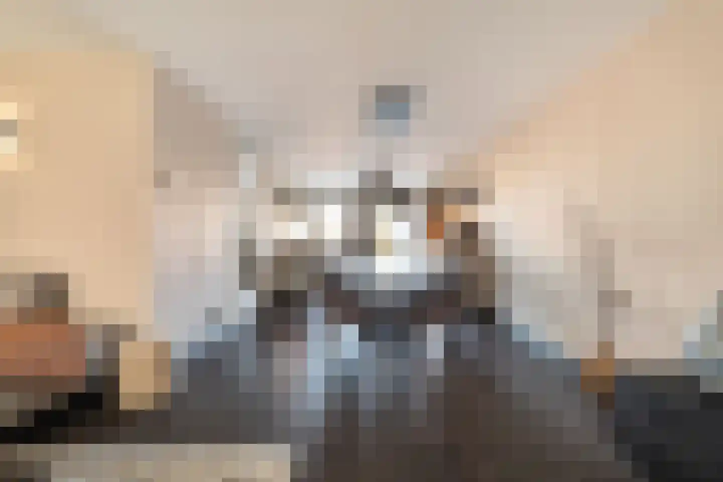 Pikeur 3 Nootdorp thumbnail 11