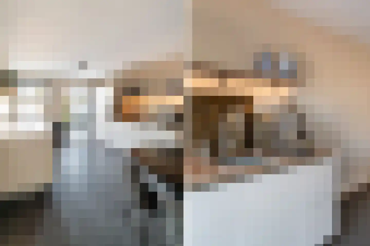 Pikeur 3 Nootdorp thumbnail 13