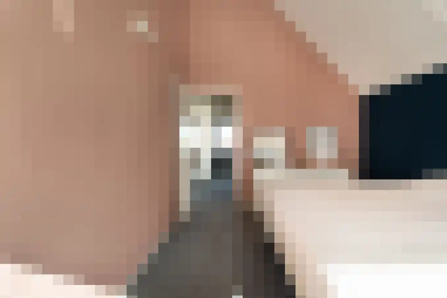 Pikeur 3 Nootdorp thumbnail 17