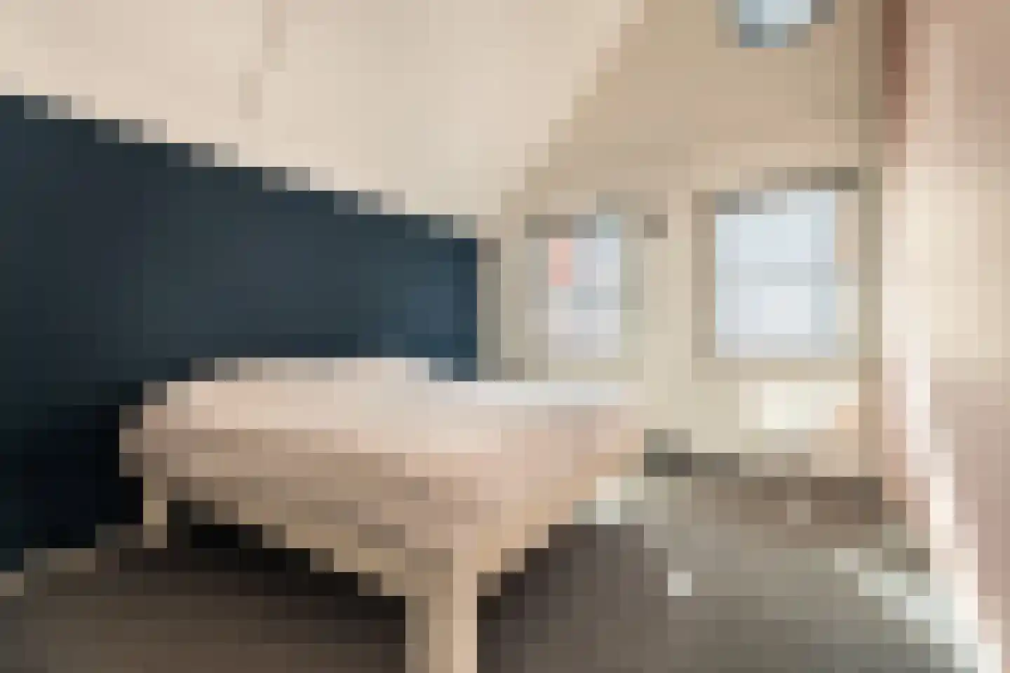 Pikeur 3 Nootdorp thumbnail 18