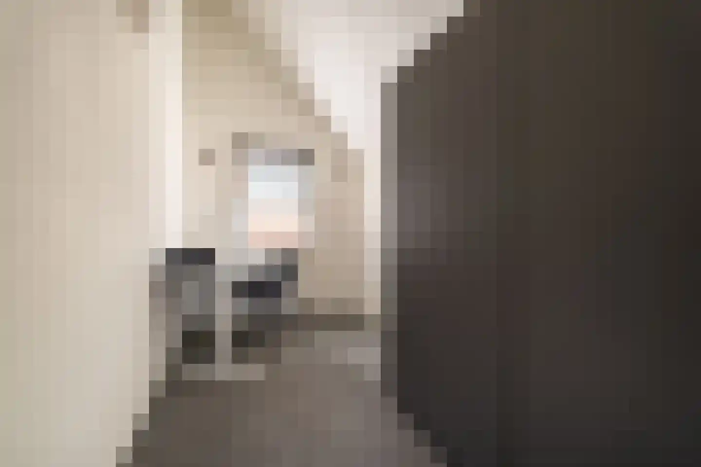 Pikeur 3 Nootdorp thumbnail 22