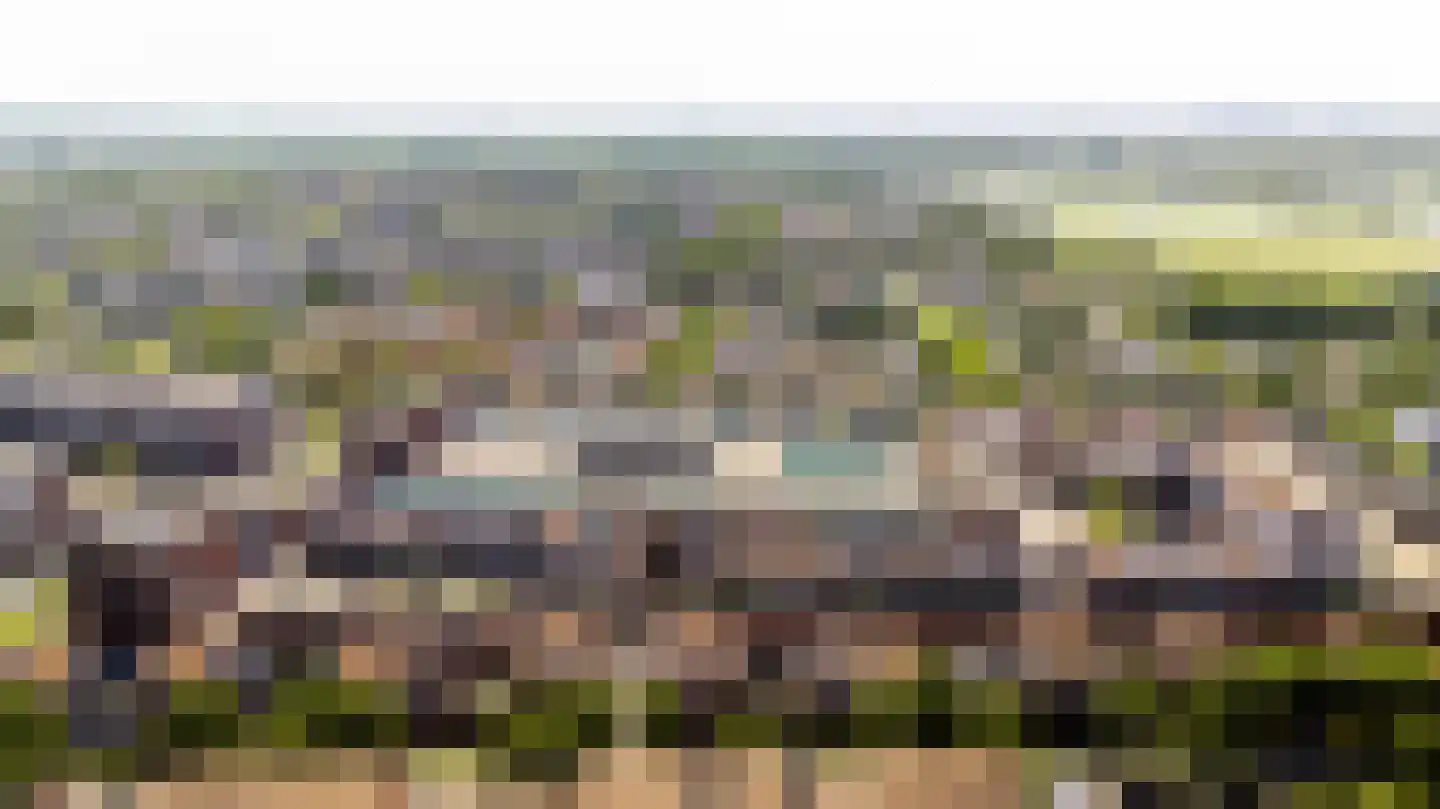 Pikeur 3 Nootdorp thumbnail 30