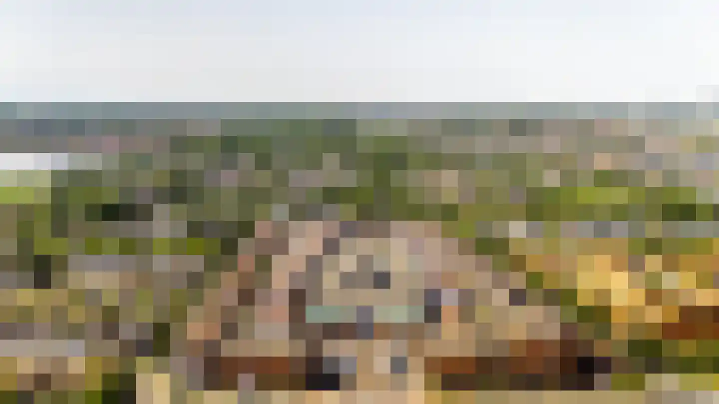 Pikeur 3 Nootdorp thumbnail 31