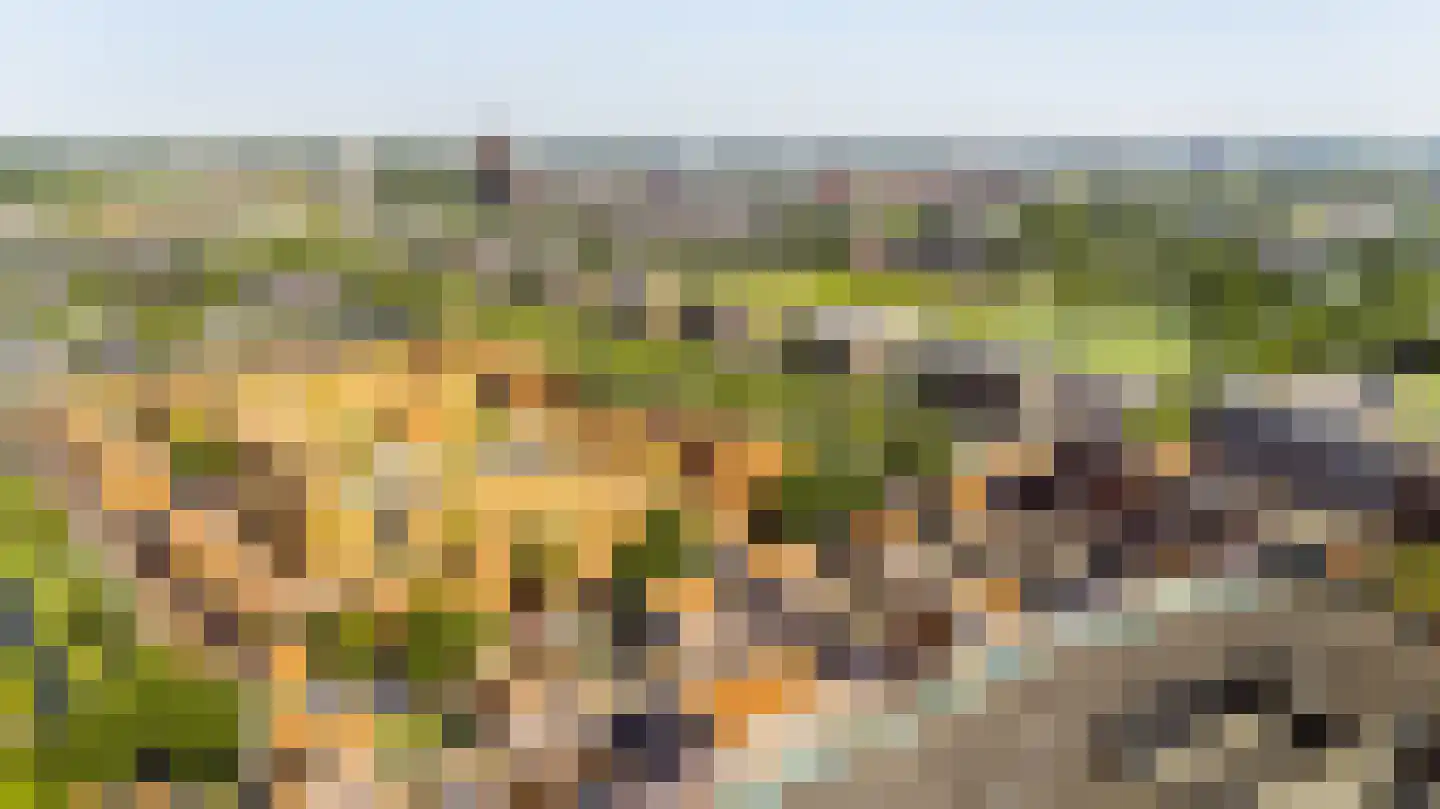 Pikeur 3 Nootdorp thumbnail 32