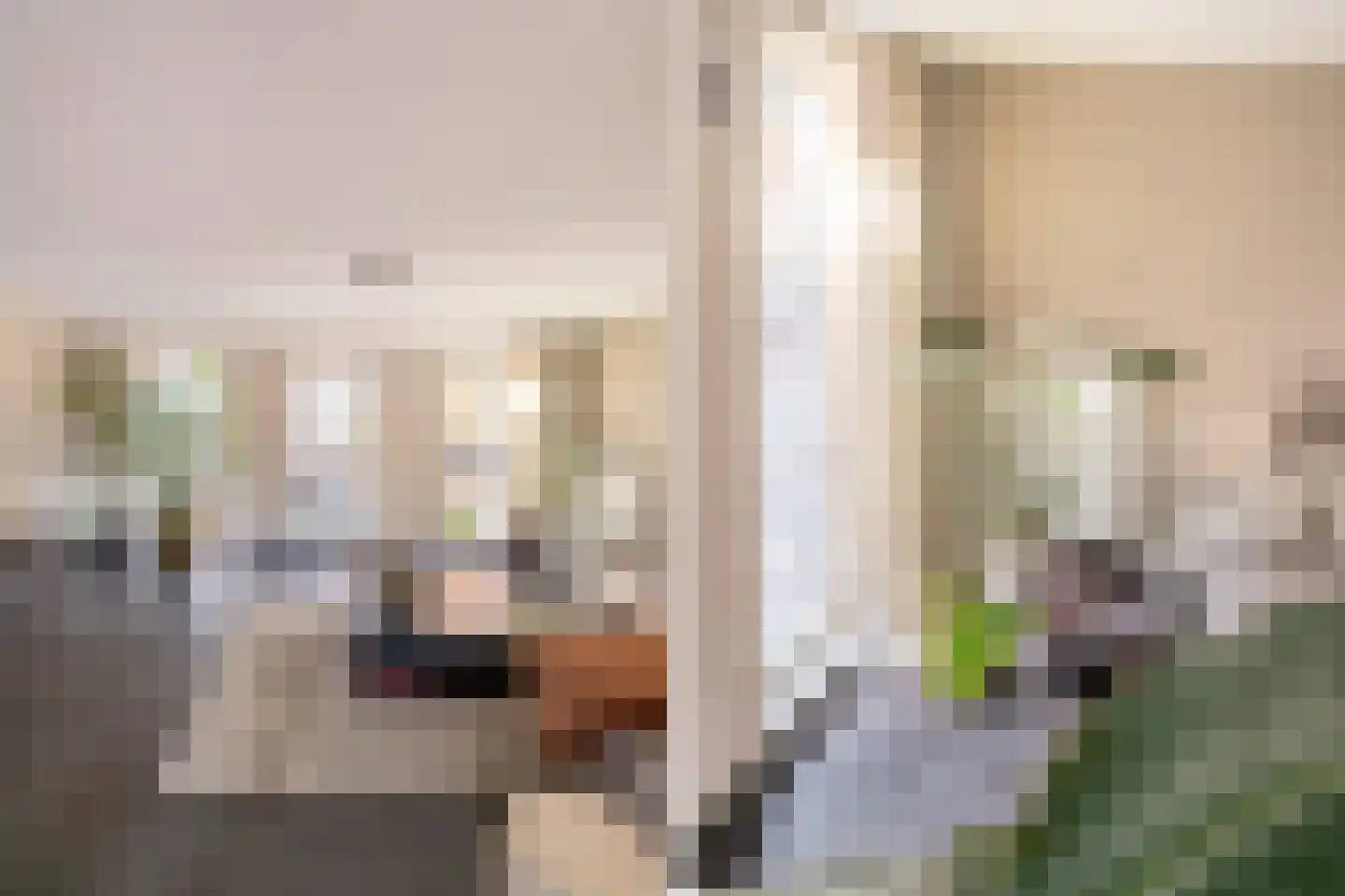 Pikeur 3 Nootdorp thumbnail 6