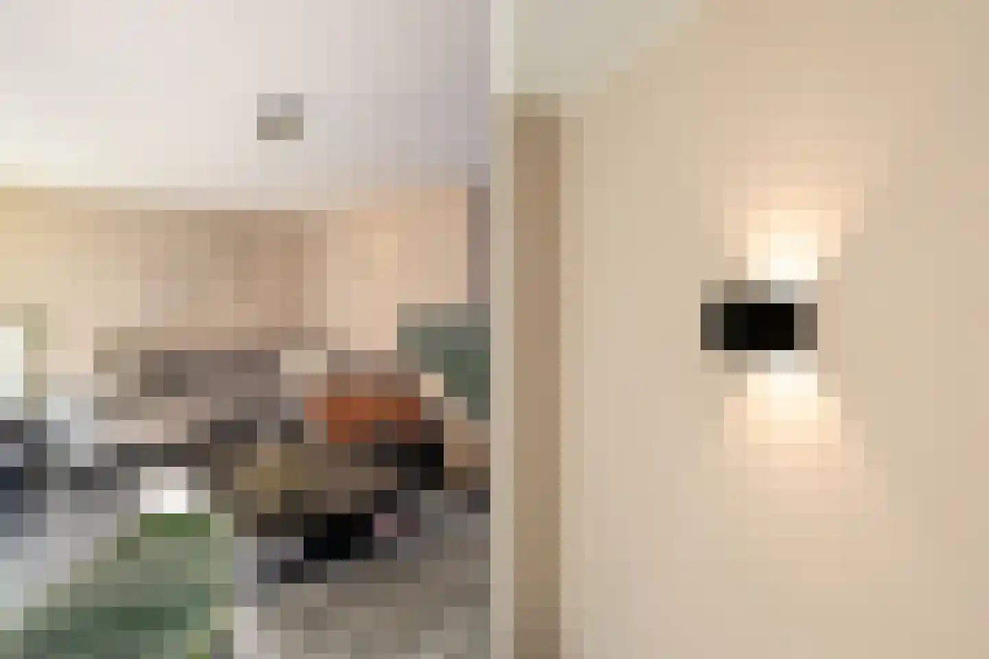 Pikeur 3 Nootdorp thumbnail 9