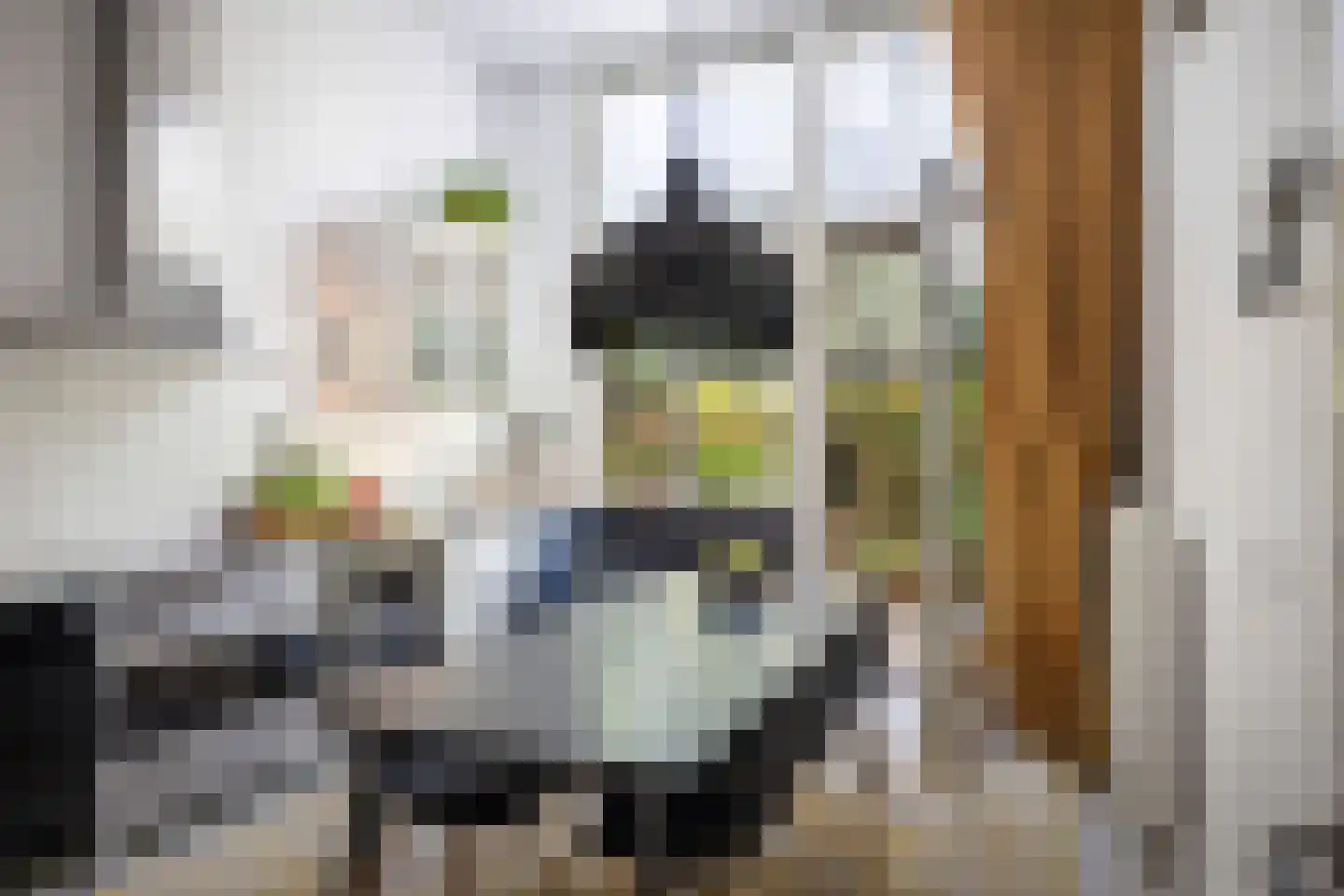 Pikeursbaan 10 Deventer thumbnail 11