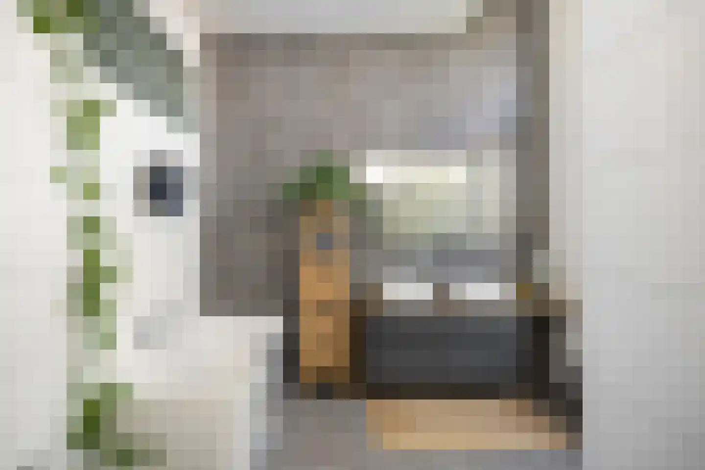 Pikeursbaan 10 Deventer thumbnail 17