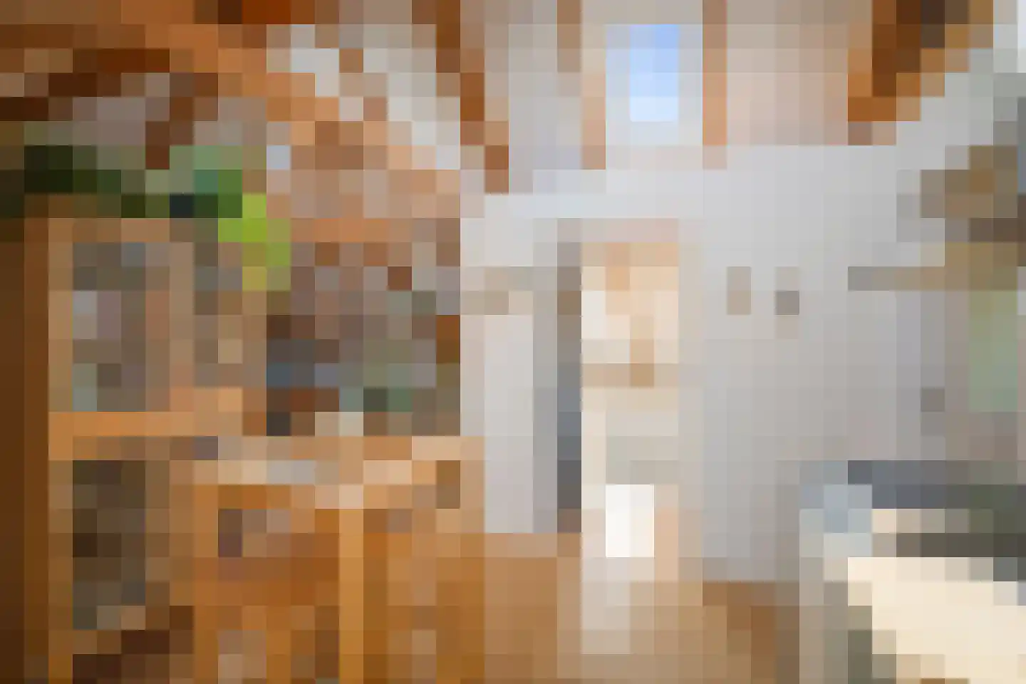Pikeursbaan 10 Deventer thumbnail 26