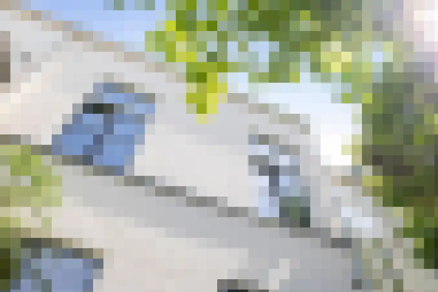 Pikeursbaan 10 Deventer thumbnail 34