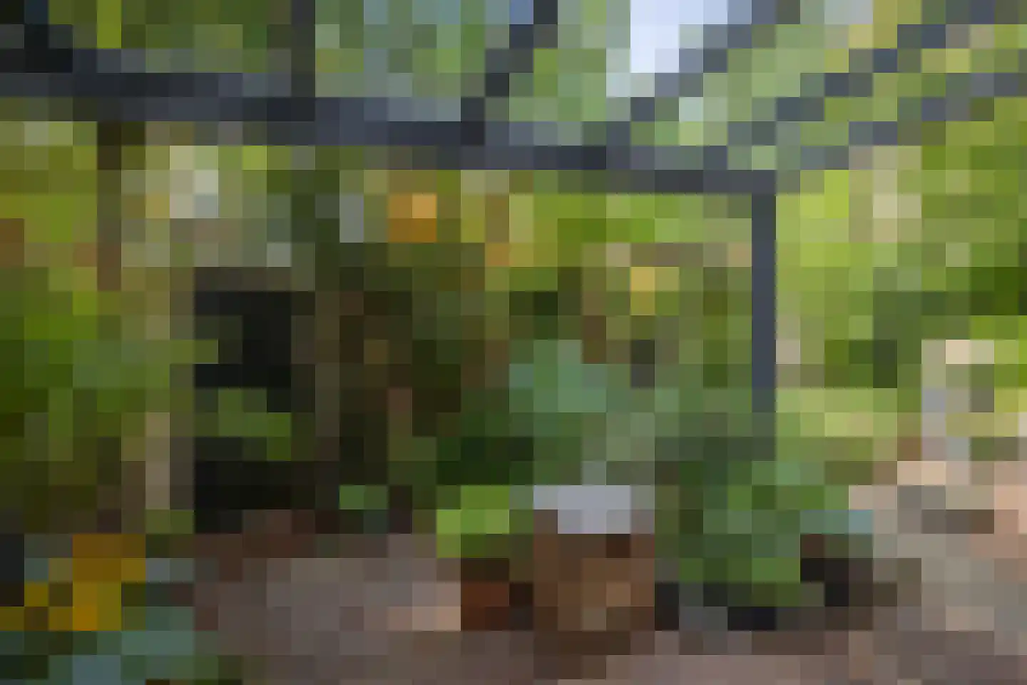 Pikeursbaan 10 Deventer thumbnail 37