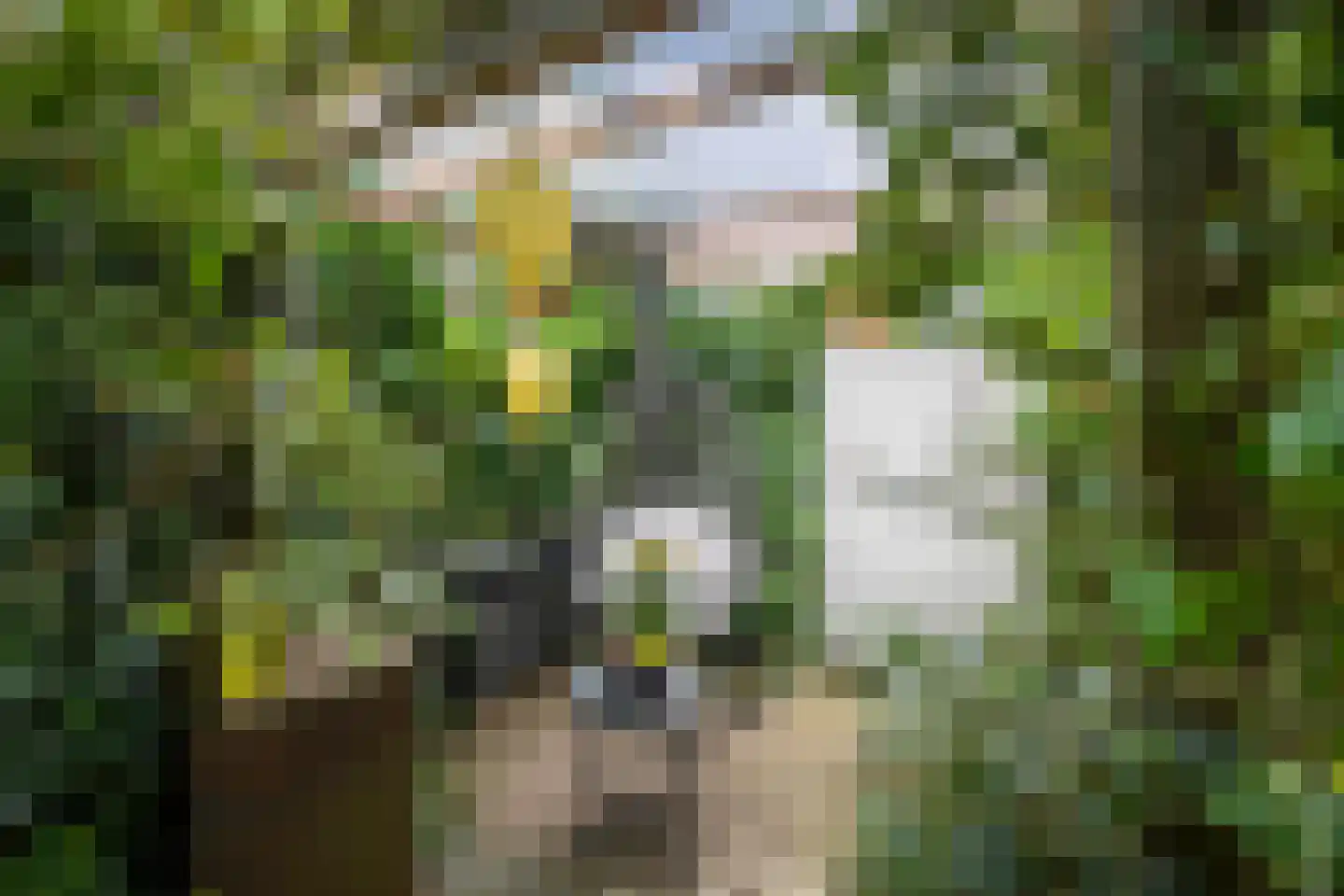 Pikeursbaan 10 Deventer thumbnail 38