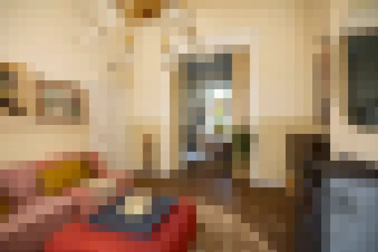 Pikeursbaan 10 Deventer thumbnail 5