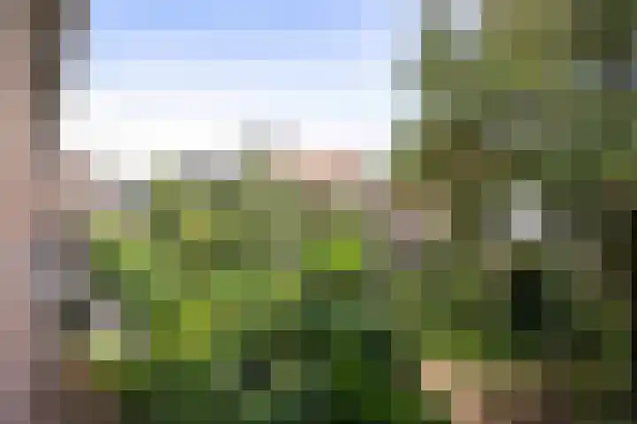Pikeursbaan 22 A Deventer thumbnail 4