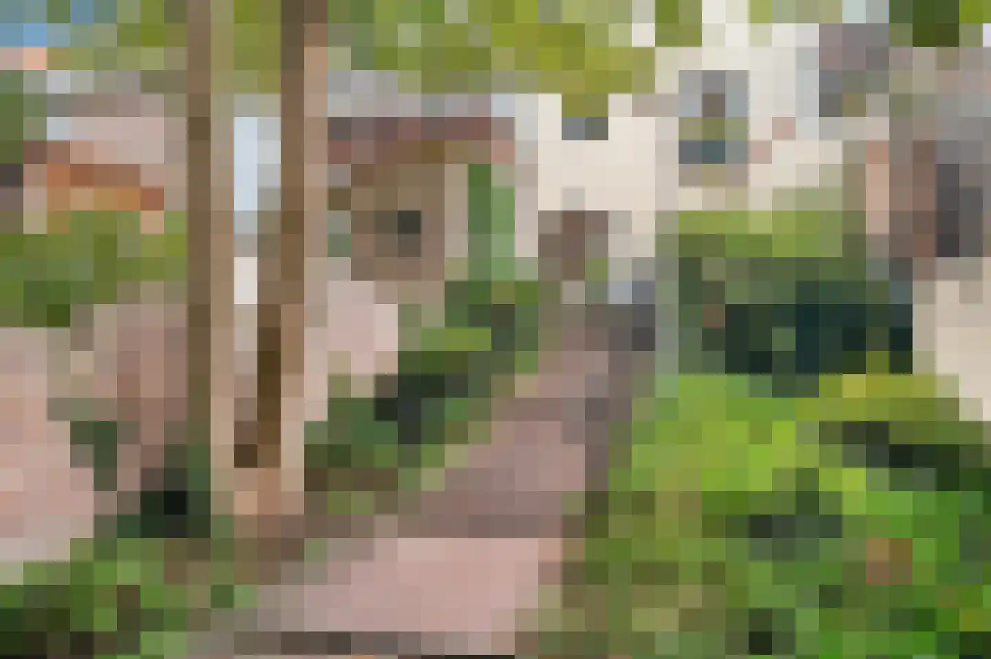Pikeursbaan 24 A Deventer thumbnail 19