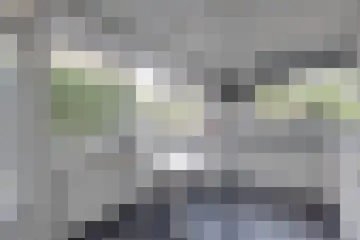 Pikeursbaan 9 Gorssel thumbnail 10