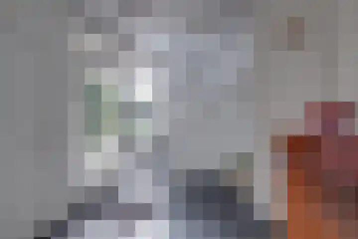 Pikeursbaan 9 Gorssel thumbnail 13