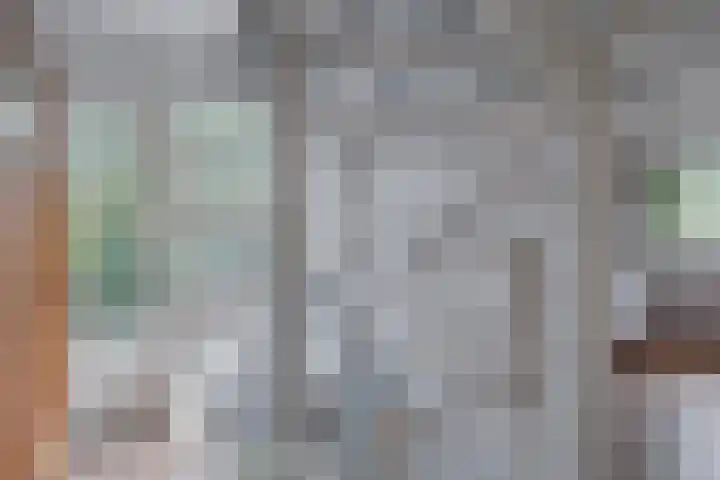 Pikeursbaan 9 Gorssel thumbnail 18