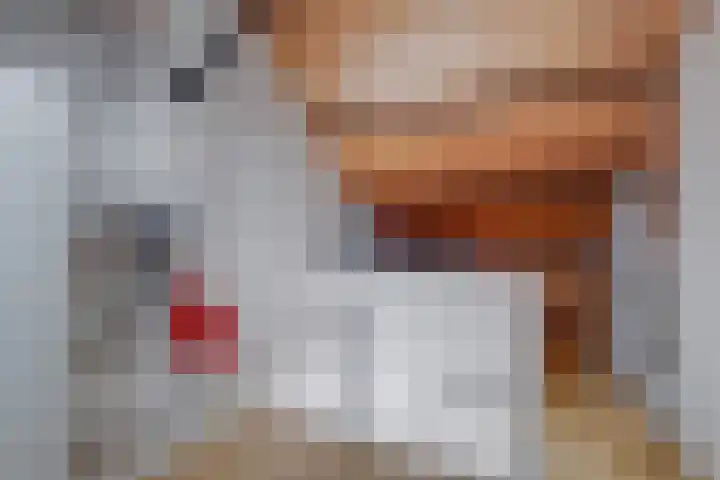 Pikeursbaan 9 Gorssel thumbnail 20