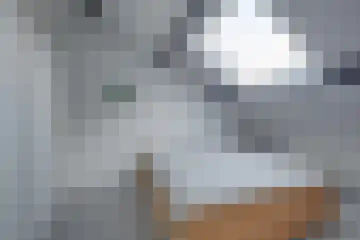 Pikeursbaan 9 Gorssel thumbnail 21